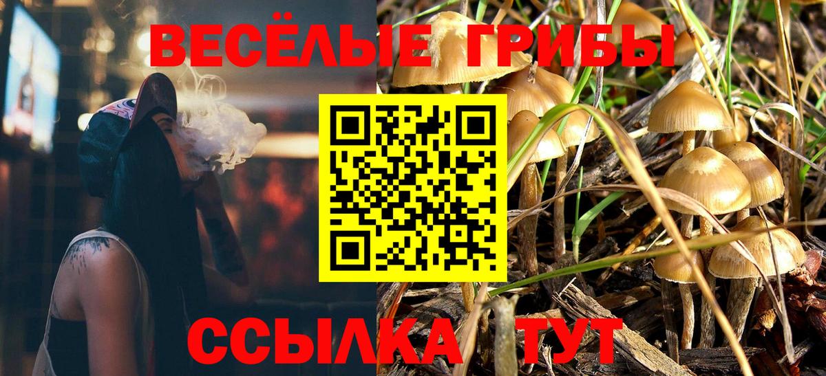 Псилоцибиновые грибы прущие грибы Серпухов